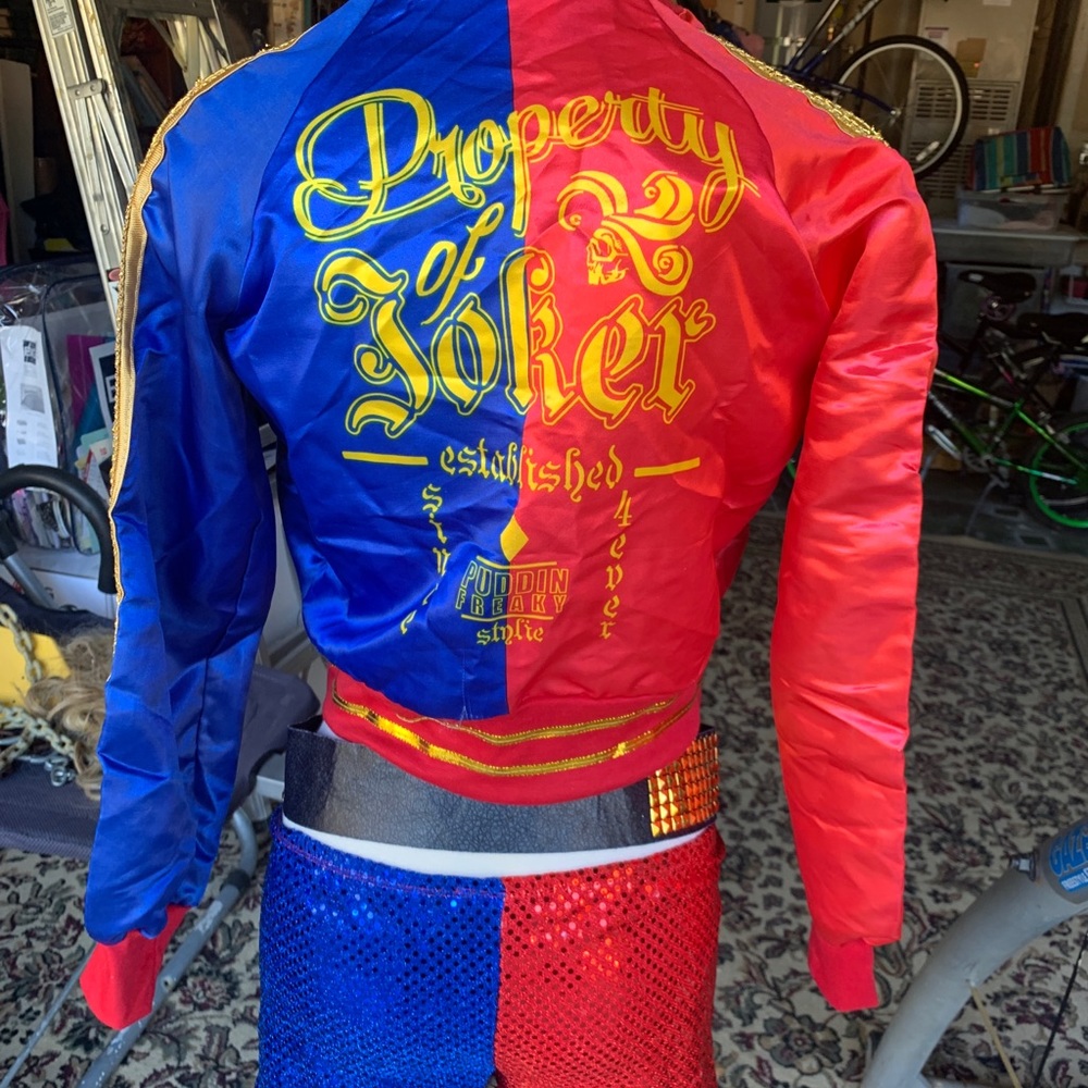 Harley Quinn costume